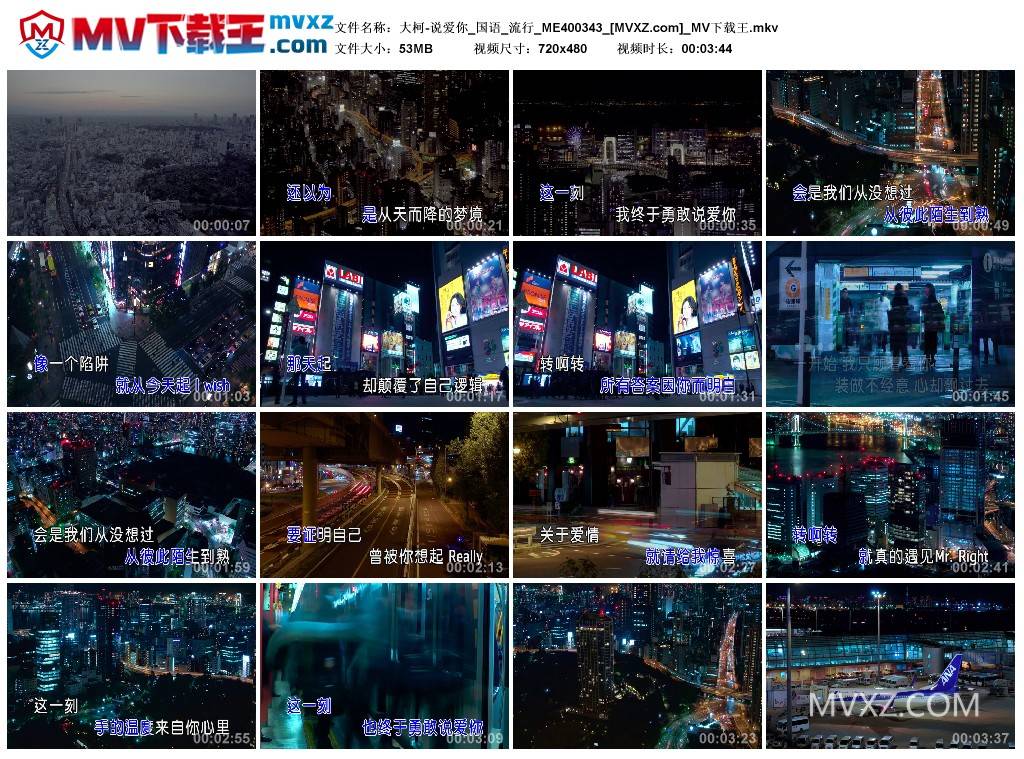 大柯-说爱你_国语_流行_ME400343